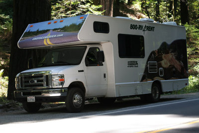 IMG_5343 Parked in the redwoods