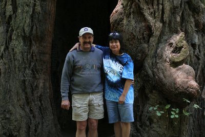 IMG_5341 In front of a redwood tree **