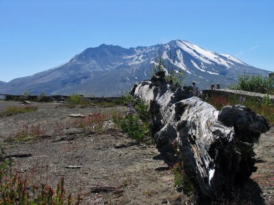 IMG_3593  Mt St Helens