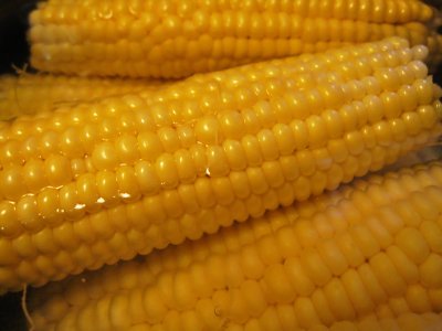 IMG_5023 Corn on the cob