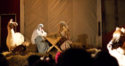 CR2_3933 The Nativity