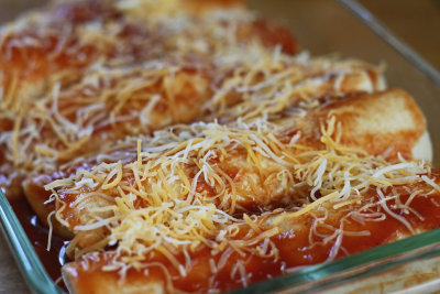 IMG_4981 Chicken Enchilada