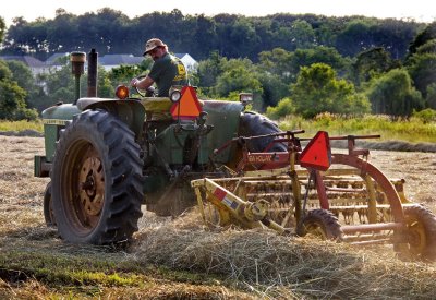 CR2_0981 Raking the hay ...
