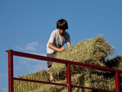 CR2_1140 Haytime ...