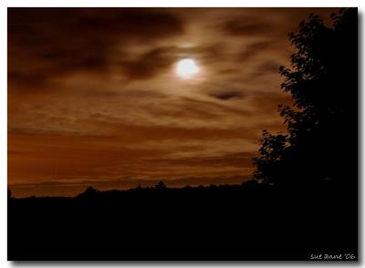 CRW_7626