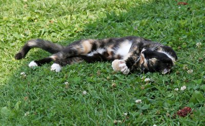 Stretching