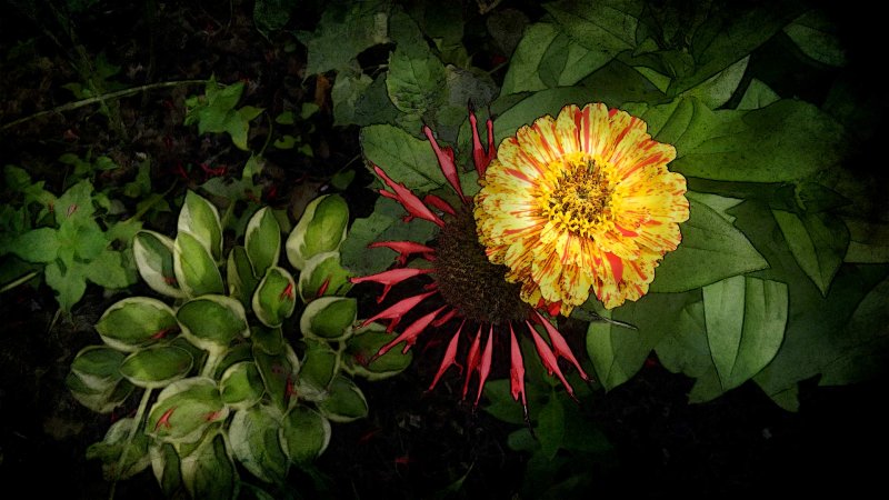 Sunday Flowers