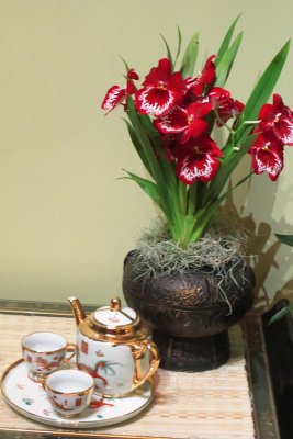 IMG_8538.JPG