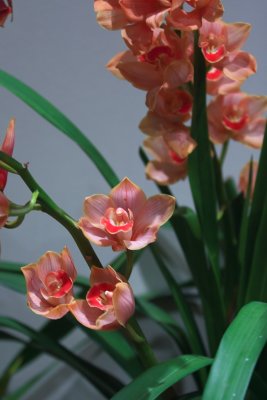 IMG_8562.JPG