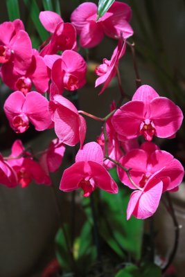 IMG_8573.JPG