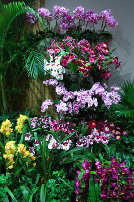 IMG_8595.JPG