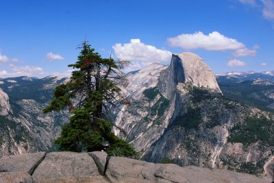 Half Dome in Yosemite