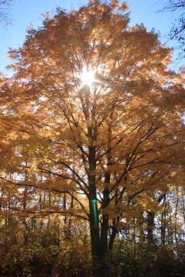 Mille Lacs Kathio Lake Park