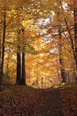 Mille Lacs Kathio Lake Park