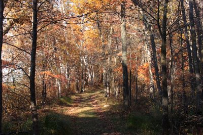 Mille Lacs Kathio Lake Park