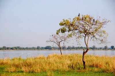 Parakrama Samudra Reservoir