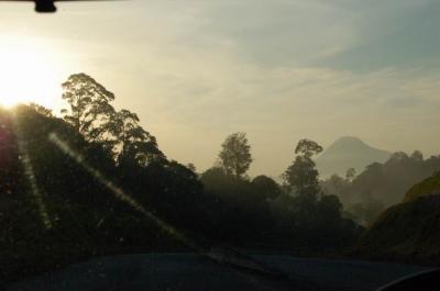 Morning sun shines penetrate through the windscreen