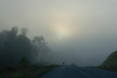 Foggy sight en route to Kuala Besut