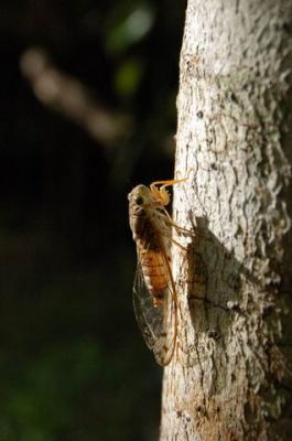 DSC_0047.JPG