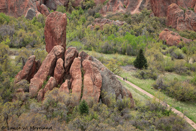 Trail Through Roxborough