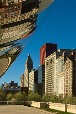 Morning at the Bean