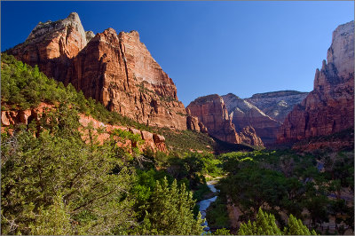 Zion  National Park Gallery
