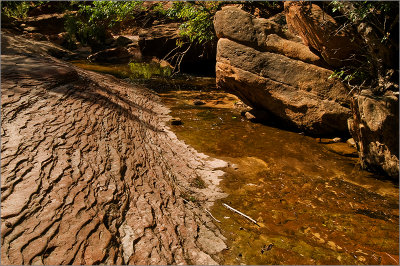 Rippled Bank
