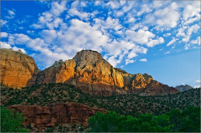 Zion  National Park Gallery