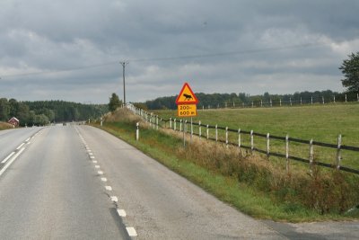 05.JPG