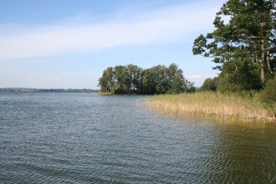 19.JPG