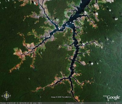 Amazon Rain Forest.jpg