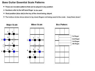 Bass Guitar Scales