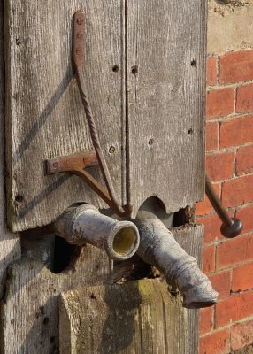 2011-03-17_8842.jpg