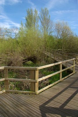 2011-04-06_9065.jpg