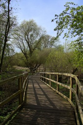 2011-04-06_9070.jpg