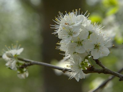 2011-04-06_9076.jpg