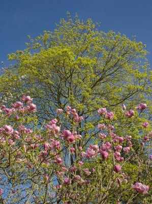 2011-04-06_9117.jpg