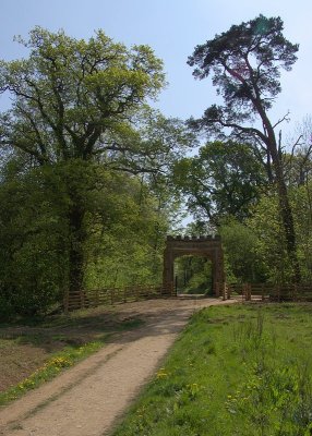 2011-04-25_9495.jpg