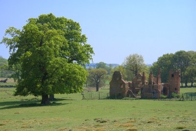2011-04-25_9547.jpg