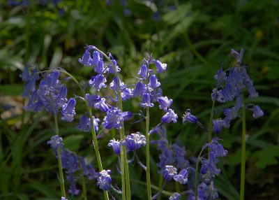 2011-04-25_9581.jpg