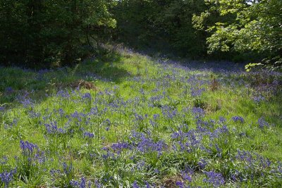 2011-04-25_9585.jpg