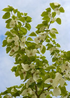 2011-04-27_9617.jpg