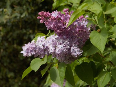 2011-04-27_9622.jpg