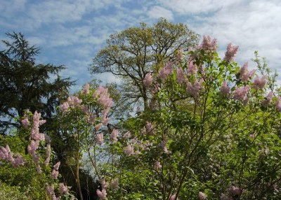 2011-04-27_9627.jpg