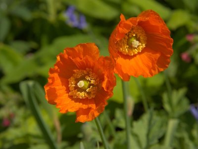 2011-04-27_9628.jpg