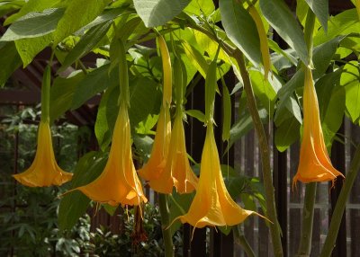 2011-04-27_9635.jpg