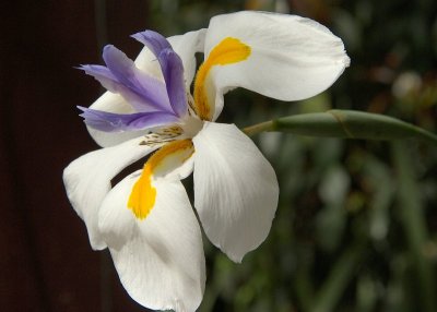 2011-04-27_9636.jpg