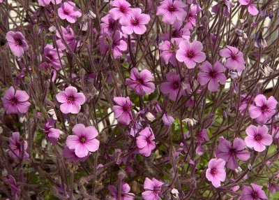 2011-04-27_9637.jpg