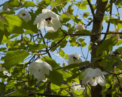 2011-04-27_9646.jpg
