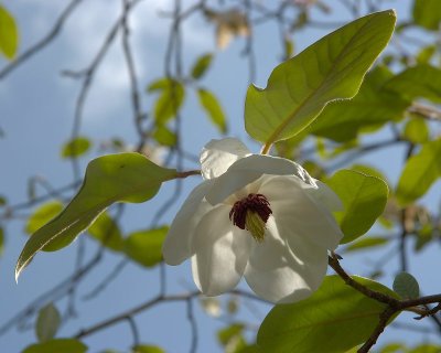 2011-04-27_9649.jpg
